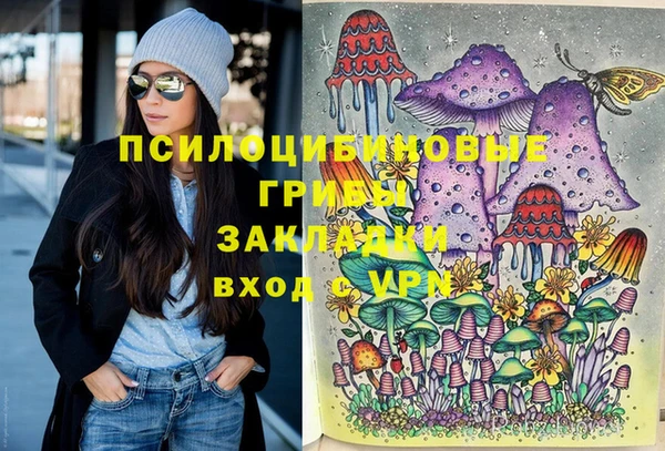 твердый Кукмор