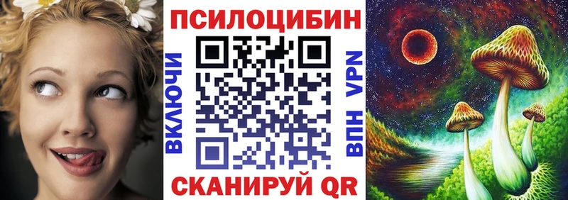 Купить  Енисейск  Псилоцибиновые грибы Cubensis 